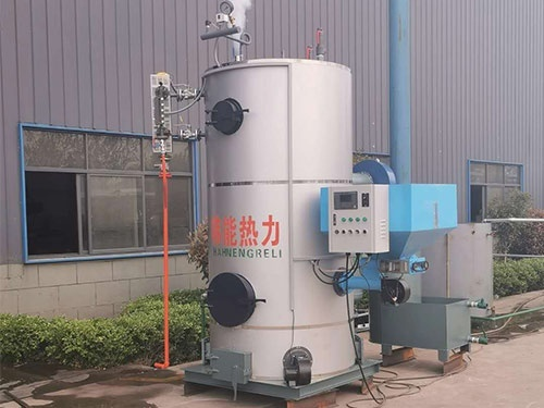 燃生物质蒸汽发生器